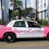 Rex_PINK_POLICE_CA_1548061A