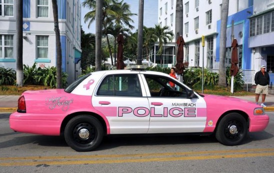 Rex_PINK_POLICE_CA_1548061A